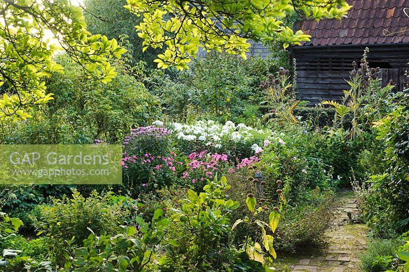 Cottage garden in late summer with Phlox and Monarda - Wyken Hall, Suffolk