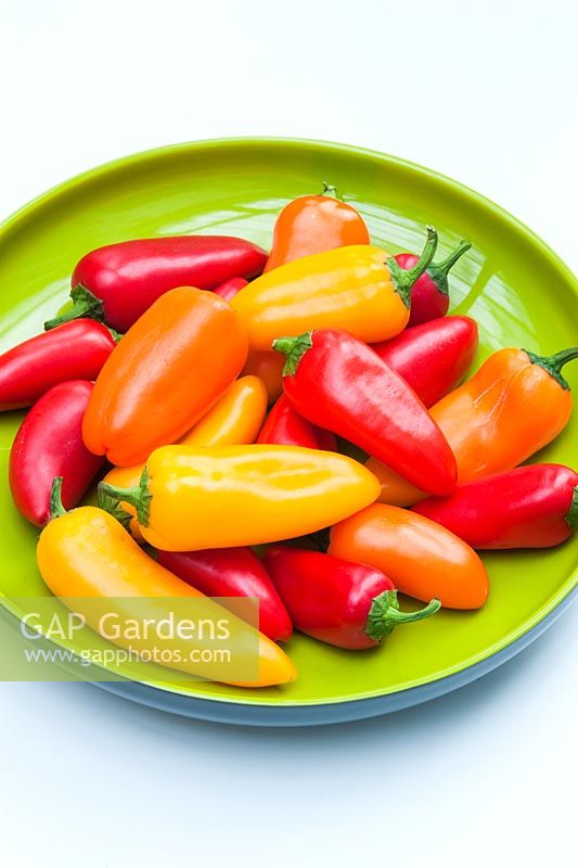 Peppers, mini conical mixed