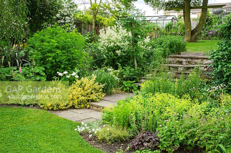 Sloping garden with steps leading from lawns at different levels. Wide mixed borders with Euonymus, Alchemilla, Heuchera and Persicaria polymorpha - Sally and Don Edwards, 15 Abbots Way, Horningsea, Cambridgeshire.