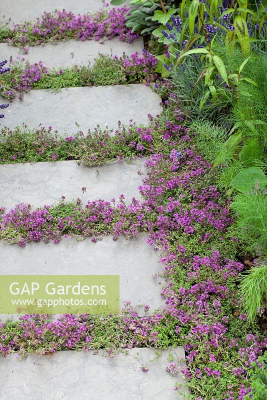 An Urban Harvest Garden - RHS Hampton Court Flower Show