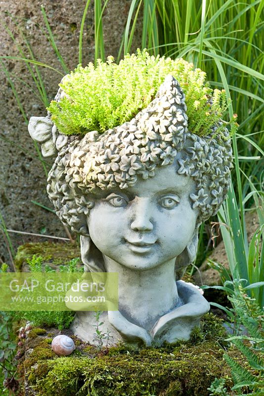 A stone head of an elf planted with Sedum 