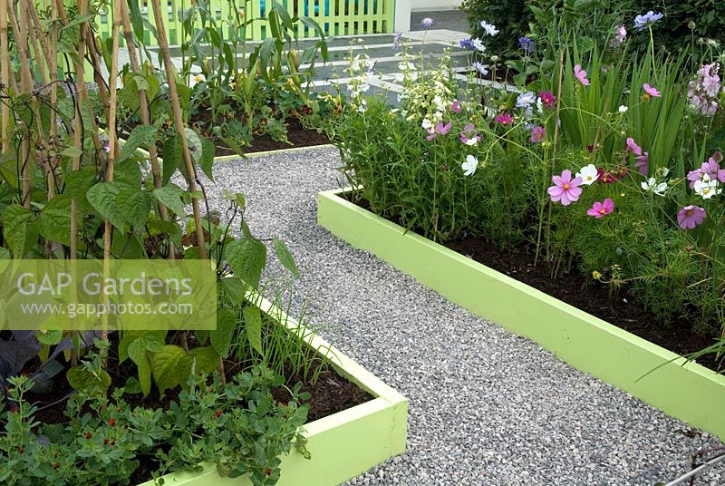 Colourful boarded edging to vegetable and flower beds with path of granite chips