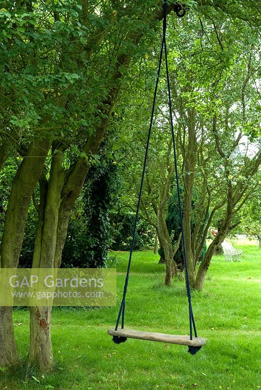Child's swing hanging from old tree in garden