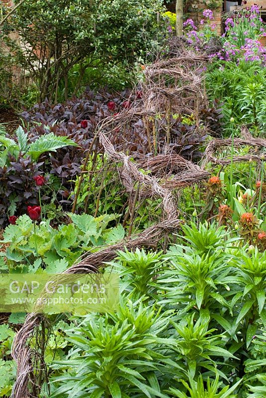 Perennials supported by woven birch twigs in the Oast garden at Perch Hill
