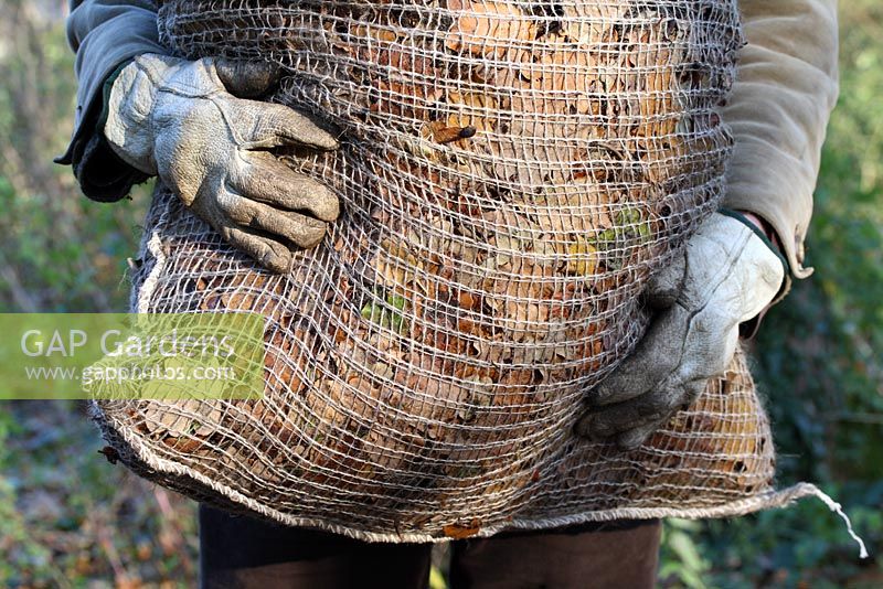 Gardener holding a biodegradable jute leaf sack full of leaves