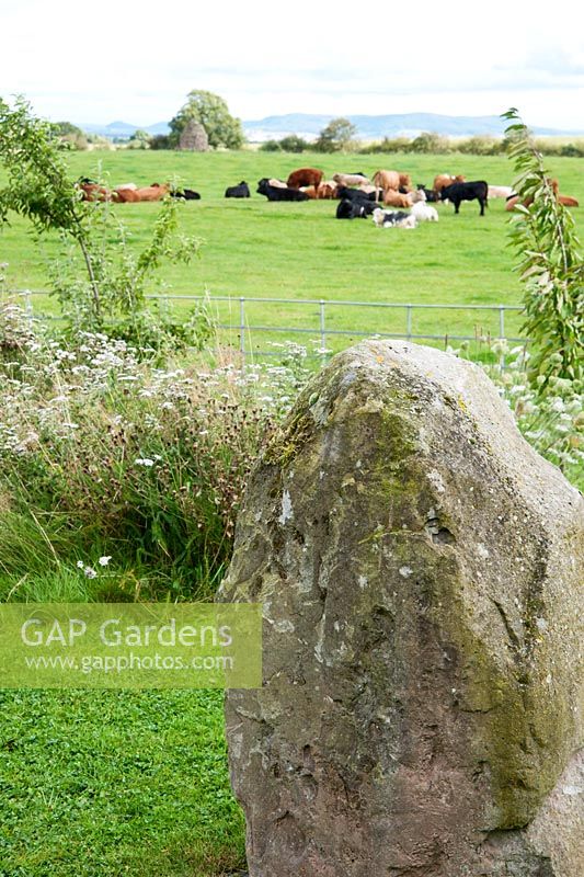 Decorative standing stone in garden and view of adjoining field with cattle and stone cairn - Rhodds Farm, Kington, Herefordshire, UK