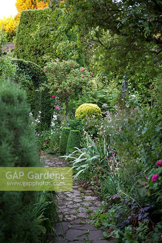 Cottage garden with stone path, clipped box arch, topiary and roses 