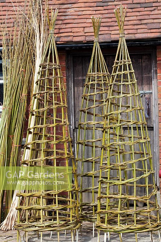 Finished woven willow plant supports - Sussex Willow