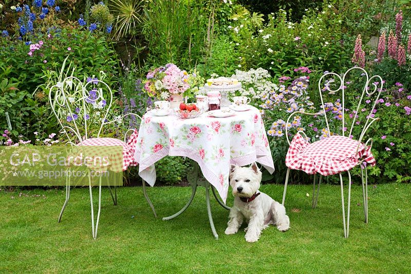 Pretty table set for tea. Archie the dog keeps watch! Garden Neighbours