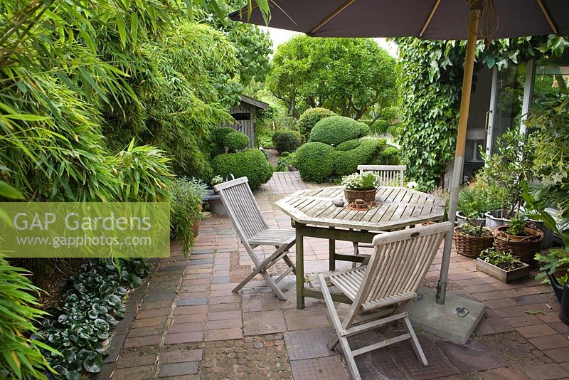 Terrace of terracotta tiles and bricks. Plants include Bamboo and Buxus - Box balls - Ulla Molin 
