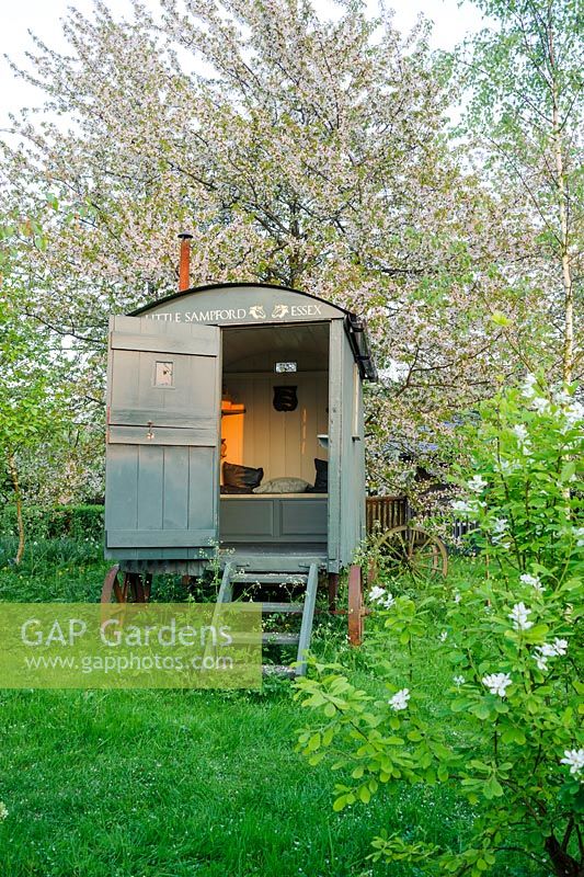 Shepherds hut in wild garden with Prunus avium, wild cherry, behind and Exochorda x macrantha 'The Bride' in foreground - The Mill House, Little Sampford, Essex