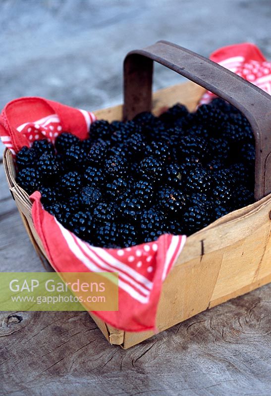 A wooden punnet of fresh blackberries on a rustic wooden surface