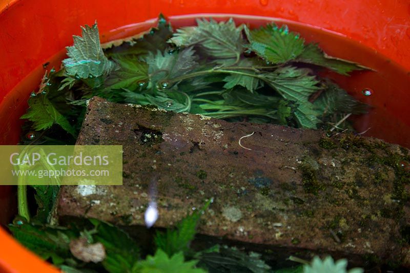 Step by Step - Creating liquid feed from Nettles