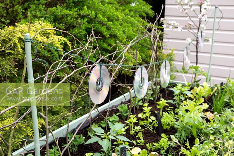 Step by Step - Creating a Pigeon deterrant to protect vegetable patch