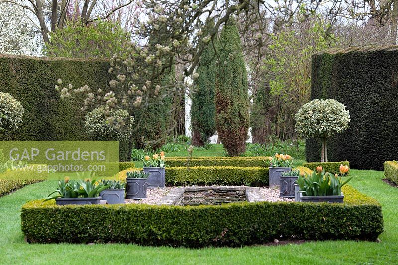 A formal pond edged with box hedging and standrad holly - The Dower House