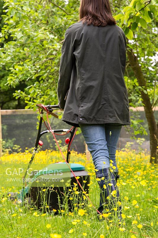 Woman mowing path through buttercups with electric lawnmower