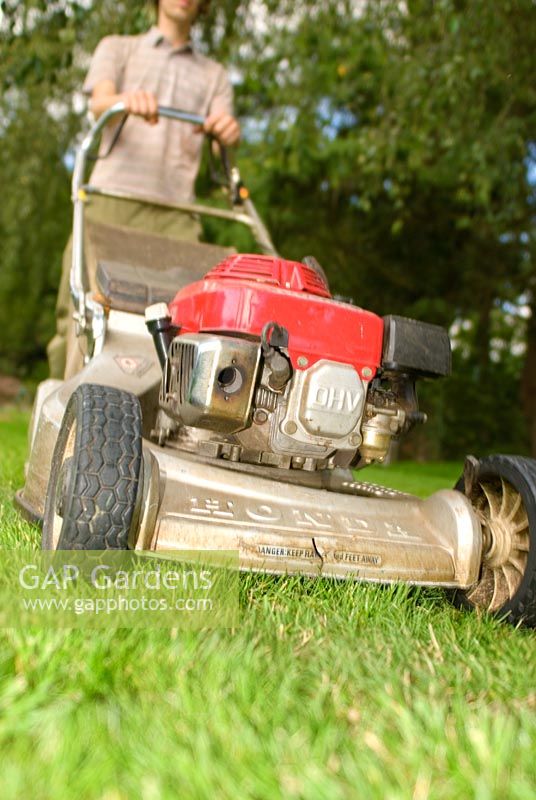 Man cutting lawn with petrol driven rotary lawnmower