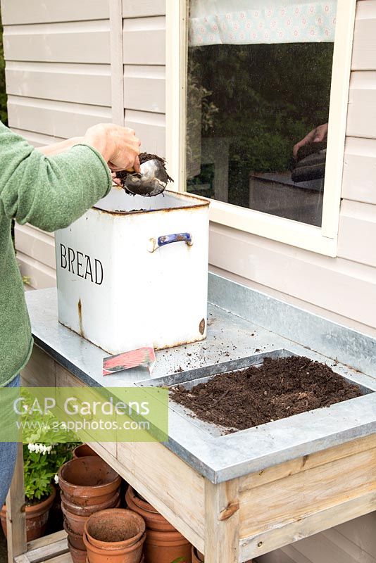 Step by Step -  Planting Carrot 'Sugarsnax' in a bread bin - adding soil 