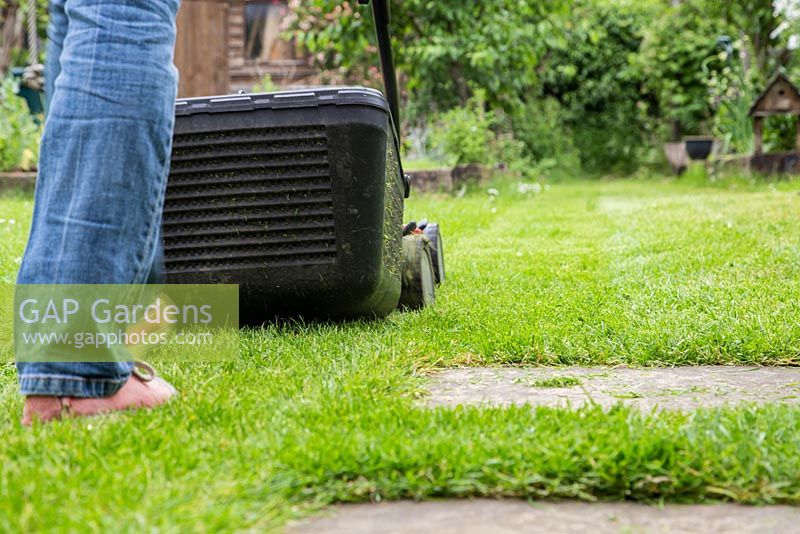 Mowing the garden with a petrol lawnmower