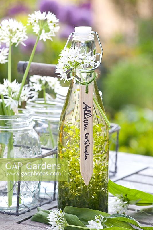 Allium Ursinum in glass bottle vase