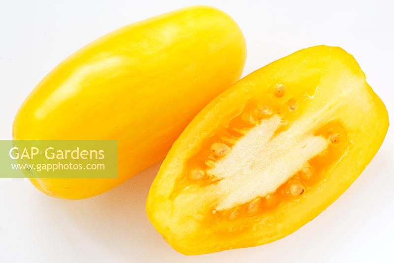 Solanum lycopersicum  'Banana Legs' Tomato  - Picked fruit one cut in half , syn. Lycopersicon esculentum, September