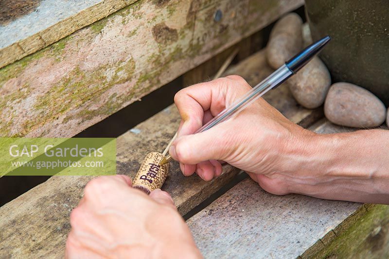 Woman writing plant name on recycled corks used as labels