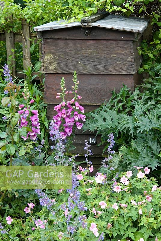 Old working beehive set into bee-friendly garden border - Open Gardens Day 2013, Walberswick, Suffolk