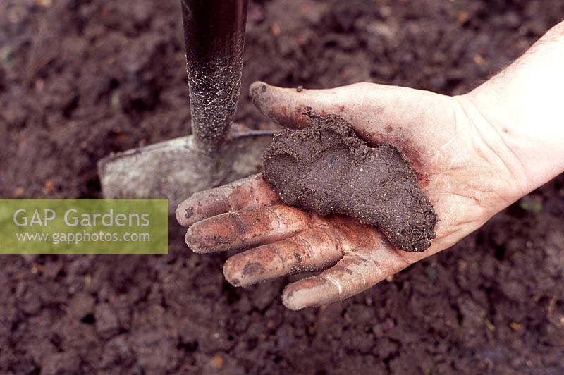 Gardener showing a handful of clay soil