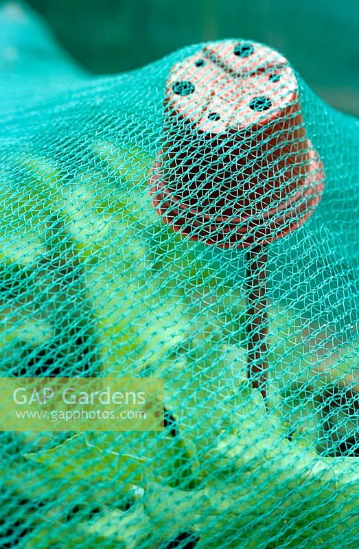 Plastic flowerpot used as a cane topper with netting