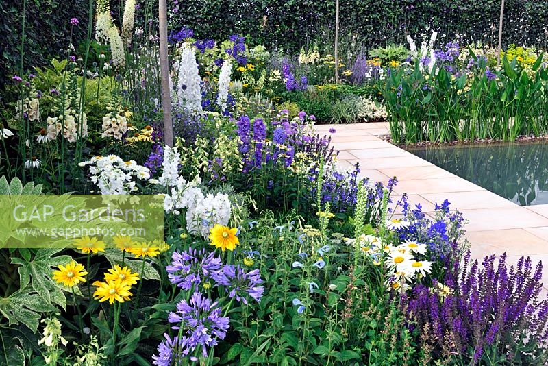 Blue white and yellow border with Delphinium, Agapanthus, Digitalis, RHS Tatton Park Flower show
