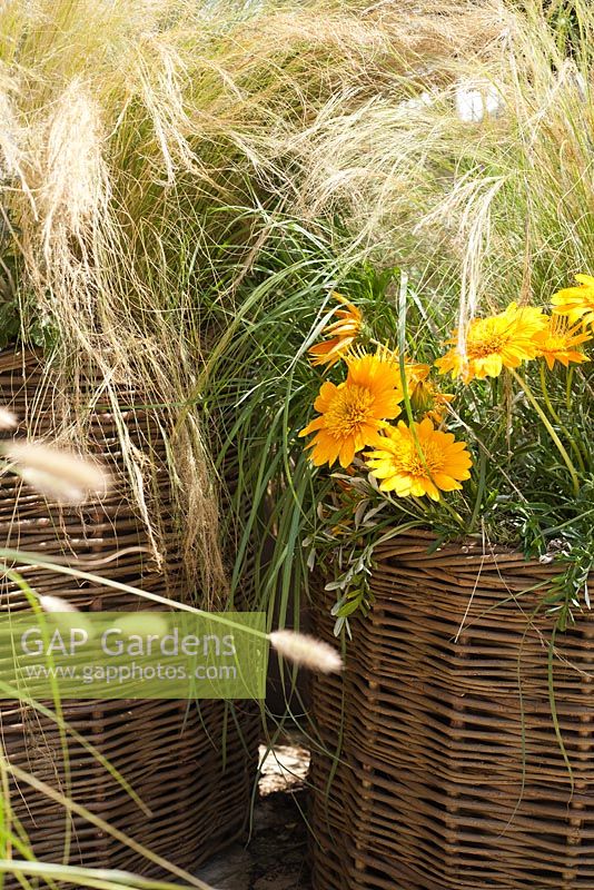 Woven containers planted with Gazania Sunbathers Nahui, Stipa Tenuissima, Miscanthus Malepartus. The QEF Garden For Joy.