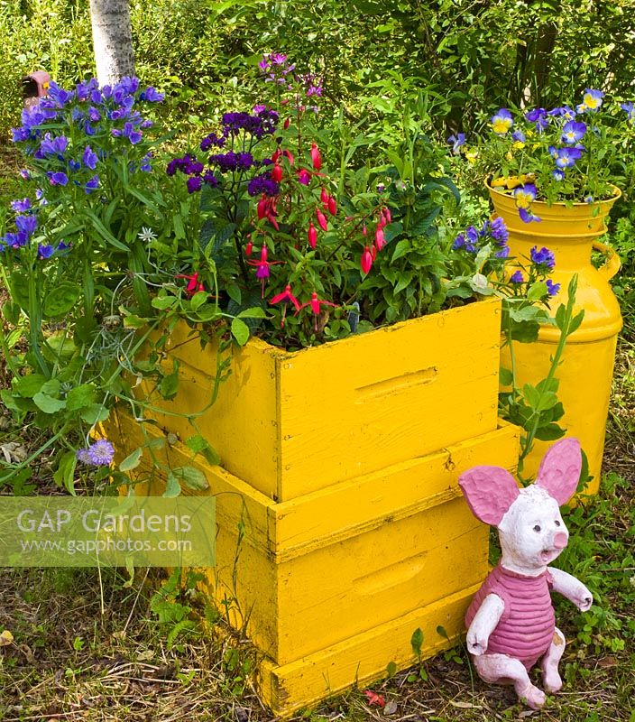 Bright yellow planter with Fuchsia and Viola and childs toy