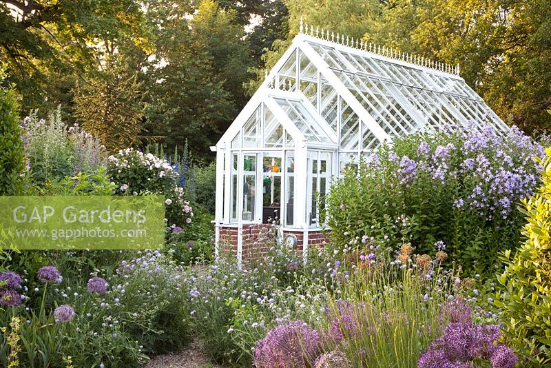 Greenhouse in country cottage garden with planting of Allium christophii, Campanula lactiflora 'Loddon Anne' and Scabiosa arvensis