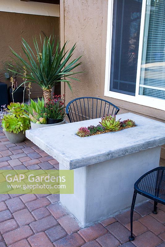 Modern terrace with table and chairs. Containers planted with Echeveria 'Lipstick', Sempervivum 'Ohioan', Sempervivum, Dracaeno, Ruschi, Agave, Anigozanthos, Aeonium and Kalanchoe 