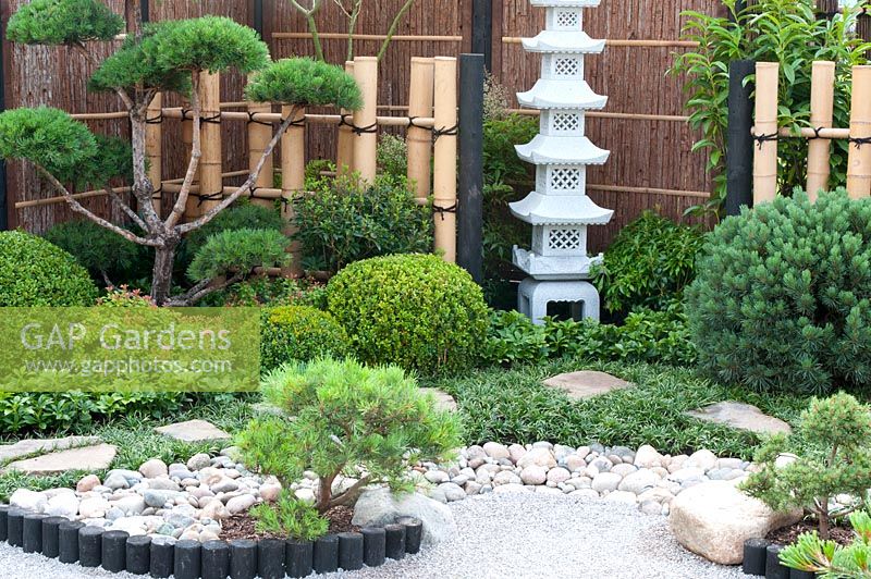 Japanese style garden with wooden and bamboo fencing, Japanese lantern, gravel and stepping stone path and borders with Buxus, Pinus and Ophiopogon japonicus 'Nana' and Pachysandra terminalis 'Green Carpet' in 'Reflections of Japan'. Gold medal winner at RHS Tatton Flower Show 2013 