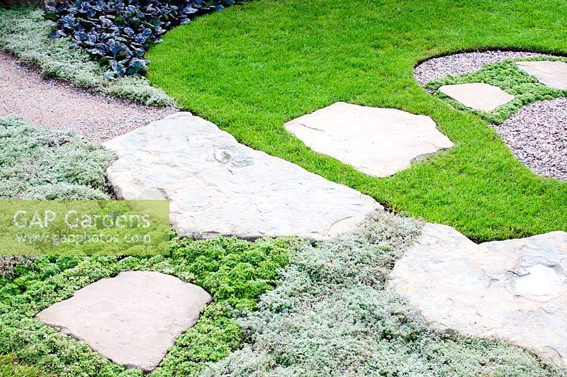 Paths of stone and gravel with adjacent lawn and planting of Ajuga reptans ' Black Scallop' Thymus pseudolanuginosus and Saxifraga paniculata 'Correvoniana' in 'Reflections of Japan'.  Gold medal winner at RHS Tatton Flower Show 2013