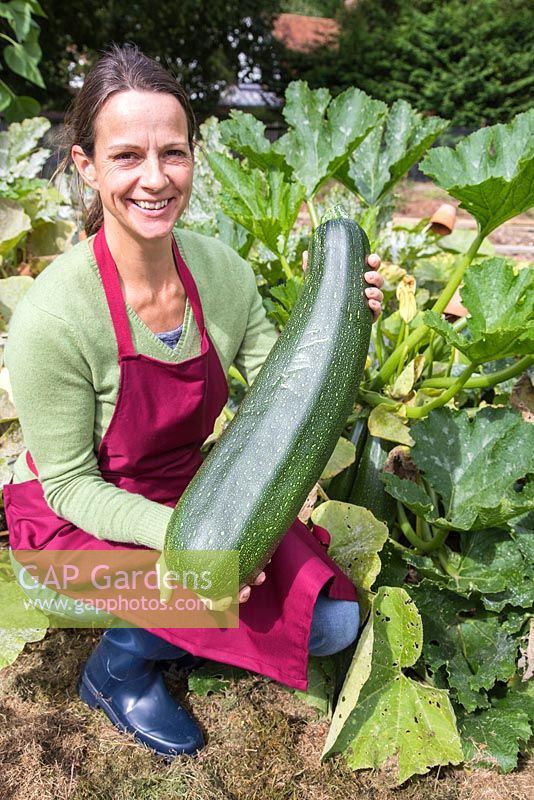 Proud woman with large harvested Marrow