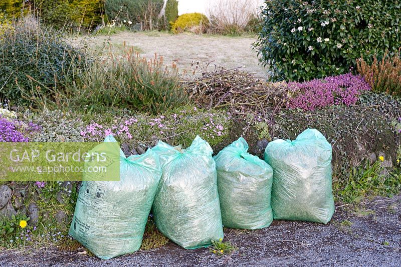 Green plastic sacks full of garden waste awaiting collection by the local council for recycling