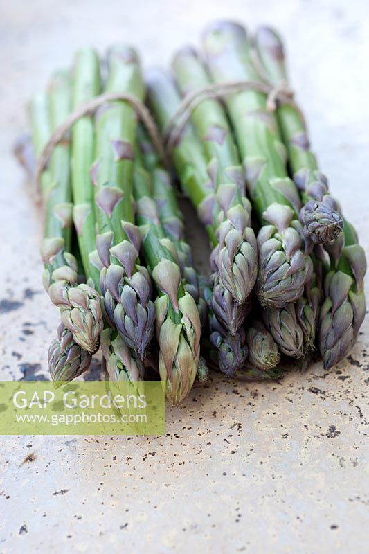 Asparagus in tied bundle on table