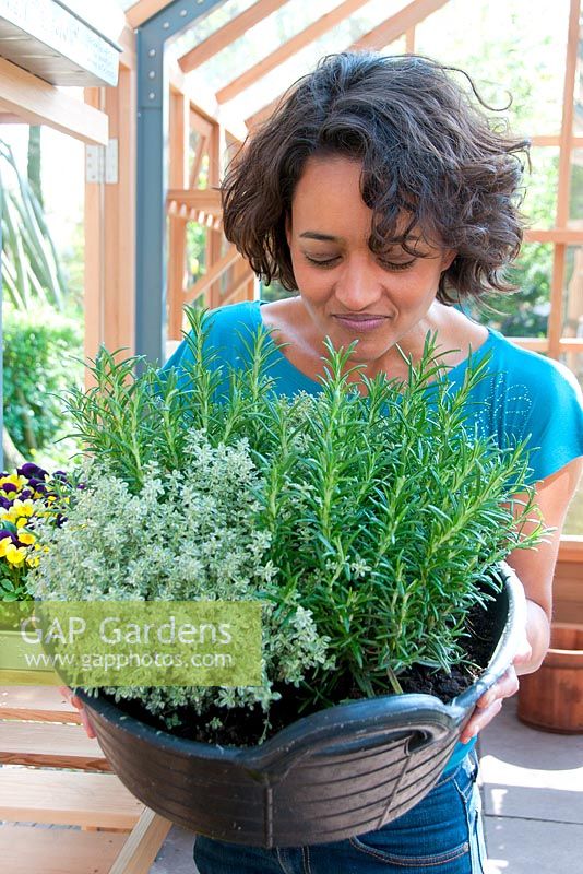 Woman holding container of herbs - thyme and rosemary