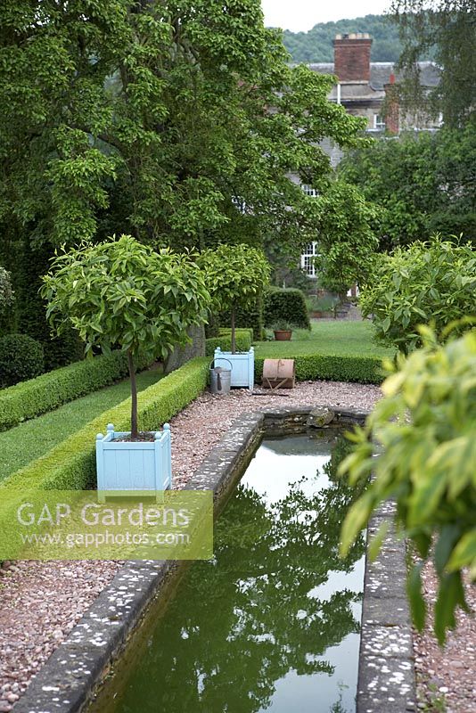 The Dower House Garden at Morville. The Canal Garden with Citrus tree standards.