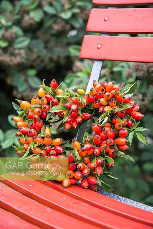 A heart shaped Rosehip wreath on a red chair