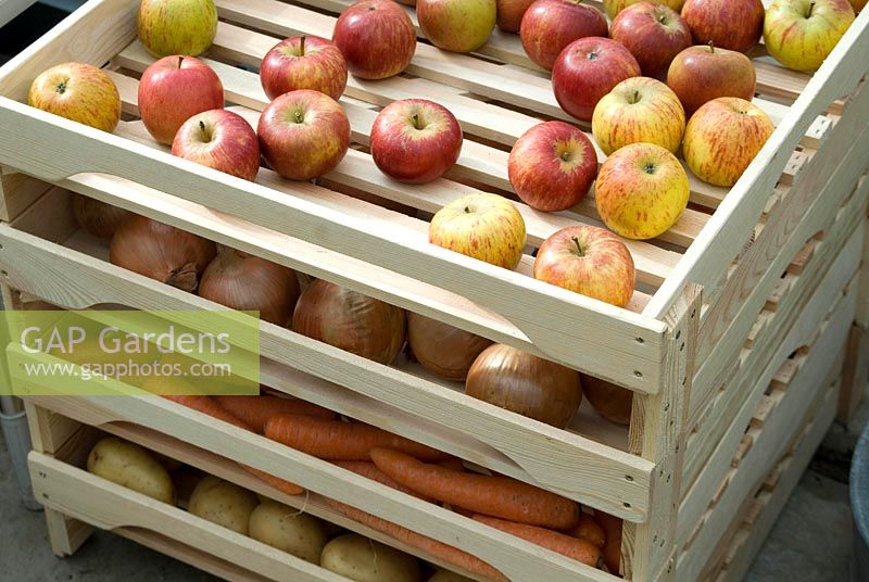 Apple and vegetable storage unit