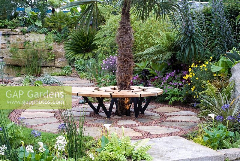 Tropical style garden with bench seating around palm tree - Chelsea Flower Show 2006