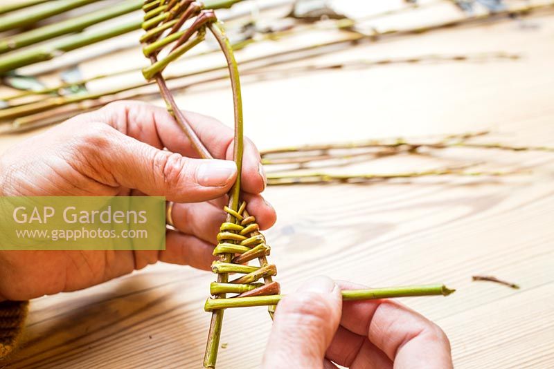 Weaving the Willow to create tail shape