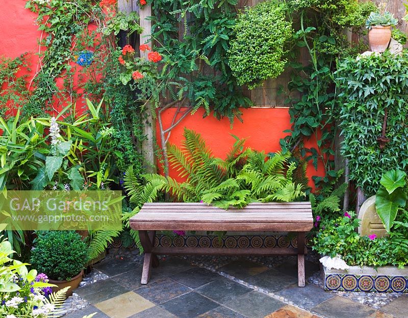 Small town garden with wooden bench, ferns and slate tiled floor. 