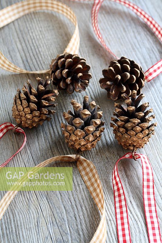 Step by step of making Christmas Doorknob Decorations - Thread one fir cone along each length of ribbon so you have an equal amount of ribbon either side