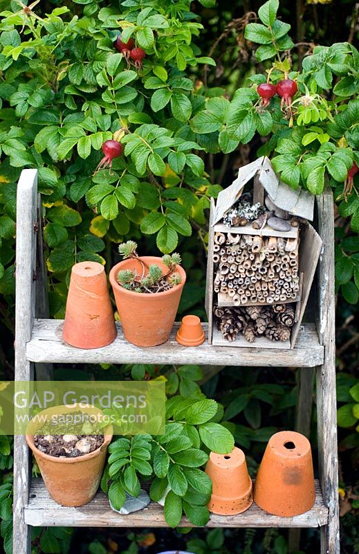 Insect hotel and terracotta pots on steps