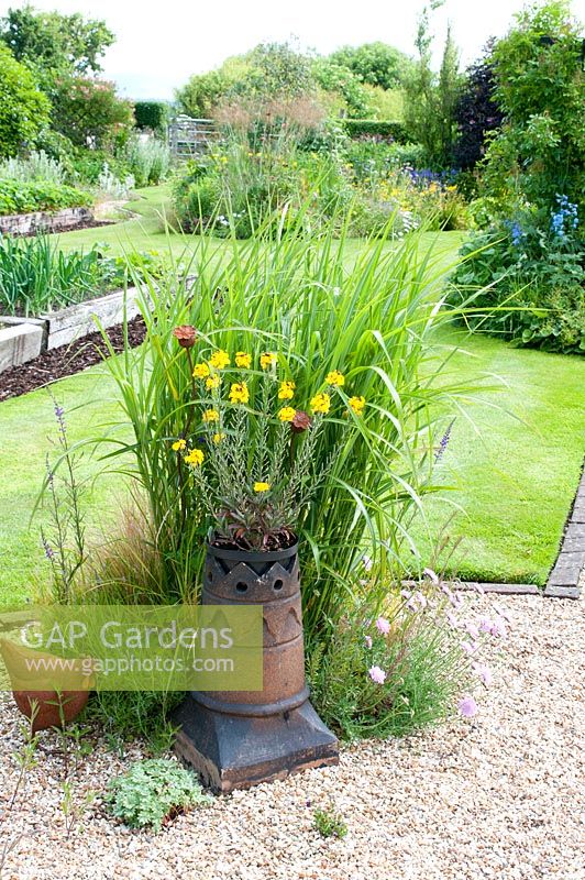Graveled area with Miscanthus Scabious and chimney pot with Erysimum in cottage garden