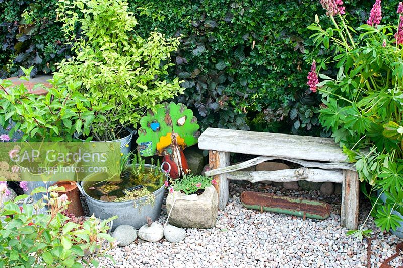 Collection of vintage galvanised buckets and containers with Lupinus shrubs and aquatic plants in small pond and rustic bench made of drift wood by Fagus hedge in corner of graveled cottage garden 